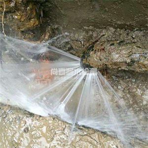 园林办事处消防管道漏水检测